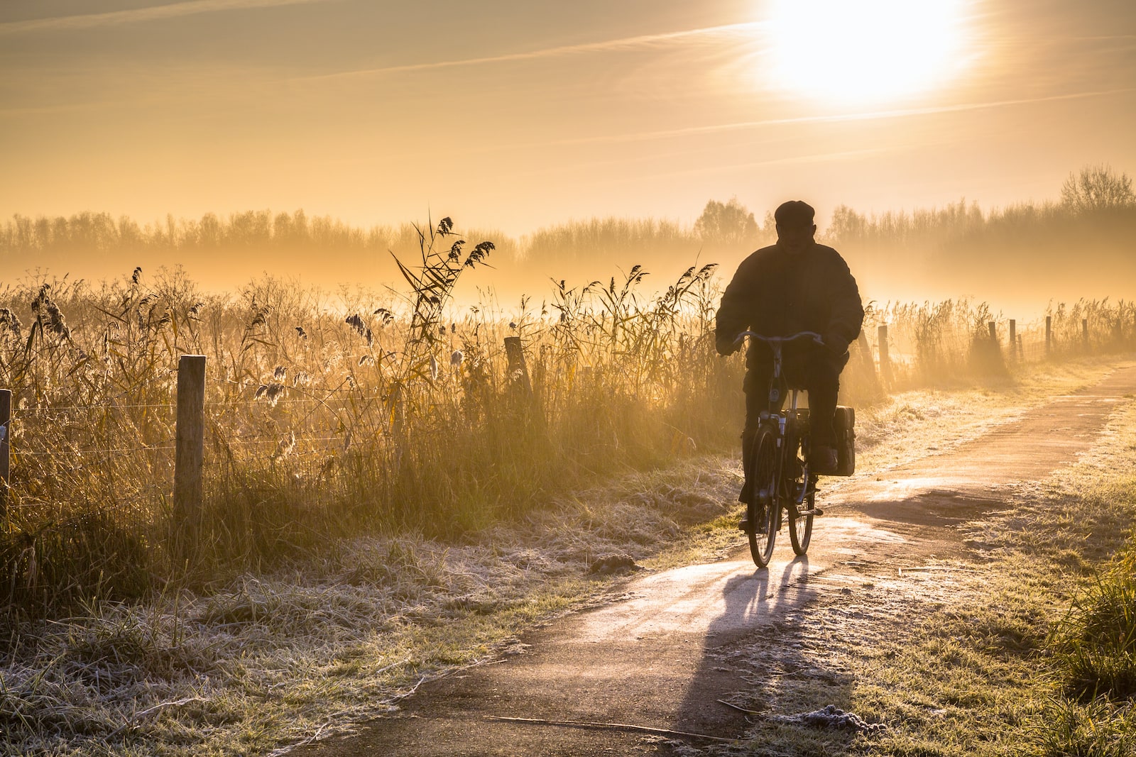 Beweging voor ouderen